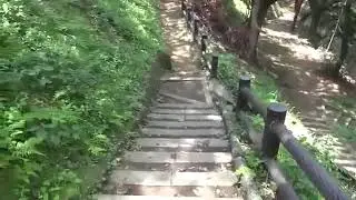 Vovan Japan гуляет в парке