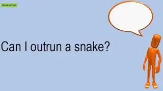 Can I Outrun A Snake?