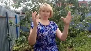 Почему люди расползаются как червяки