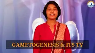 Gametogenesis by Ankita Mahapatro CLASS XII BIOLOGY CBSE | Bright Light Classes