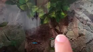 80 litre tank at one year