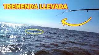 NO LO PODIAMOS CREER!! 😯 #pesca #parati #fishing