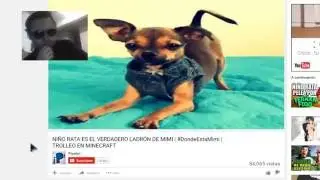 Niño encuentra a MIMI de German Garmendia - Analisis del video Pipelon #DondeEstaMimi - Tenshi Mex
