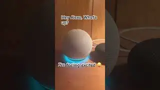 Google asked question it has always want to ask Alexa .....