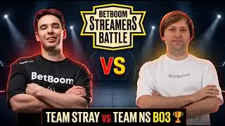 VOVAPAIN vs TEAM NS bo3 🏆 BETBOOM Streamers Battle 14 (1 игра) РЕХОСТ