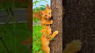 Cute little girls . A  beautiful moment 