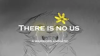 There is no us || Warriors Animatic