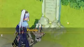 My Paimon is broken