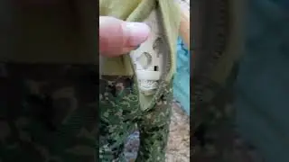 Брак с алика