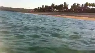 iPhone fell into the water
