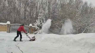 8 февраля 2024 г.
