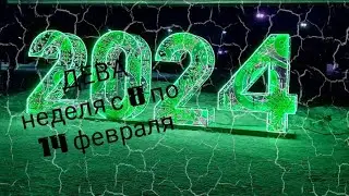ДЕВА расклад Таро на неделю с 8 по 14 февраля 2024 года