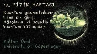 18. Fizik Haftası: Ağaçlarla iki boyutlu kuantum kütleçekim | Meltem Ünel