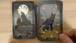 DarkWood Tarot - 4k flip through