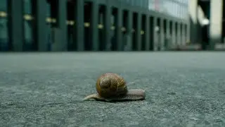 PHLEGM (2022) | Trailer | Splat!FilmFest