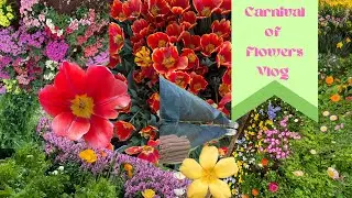 Toowoomba Carnival of Flowers Vlog! 🌷 🌱 🌸