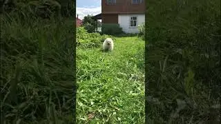 Как быстро он растёт😍 