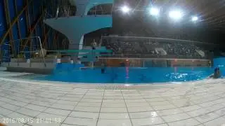 Главный инженер в бассейне
