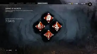 Dead by Daylight - Shrine of Secrets Visual Bug - 2020.07.28 - 20.11.09