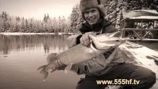 Джерк бэйт. Вводное.