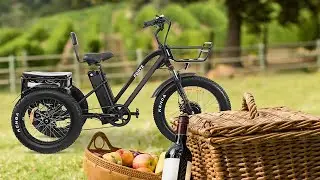 Top 5 Best Electric Tricycle Review 2023 (Best E-Trike)