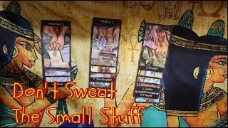 Don't Sweat The Small Stuff 11 28 24 Daily Tarot Reading