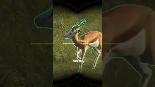 Bowhunting a MONSTER SPRINGBOK!!! 😳😳😳- Call of the Wild 