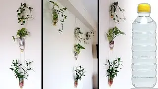 Best Out of Waste Water Bottle Craft - Beautiful Hanging Garden Using Old Plastic Bottles DIY Hacks