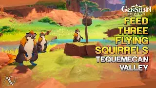 Feed Three Flying Squirrels (Hidden Chest) - Tequemecan Valley | Genshin Impact