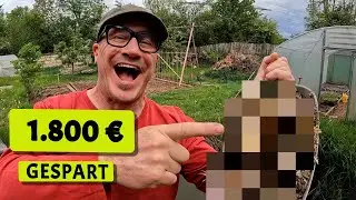 DAMIT habe ich 1.800 Euro gespart | Der Selbstversorger-Garten im Mai