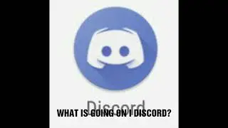 How discord roles live?!
