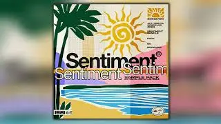 [FREE SAMPLE PACK] "SENTIMENT" (Travis Scott , Don Toliver , Vintage Guitars , Dez Wright   )