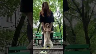 Мой тг: noriwell 🐕