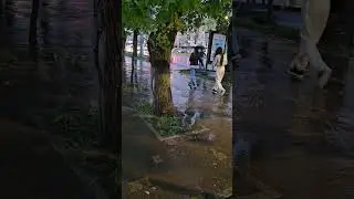 Благорастройство Алматы. Проспект Абая: вода по асфальту рекой. В районе пересечения с Масанчи.