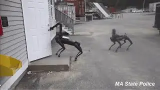 Boston Dynamics Robot Police Dog
