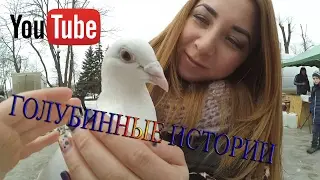 ГОЛУБИННЫЕ ИСТОРИИ