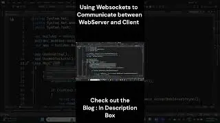 How I used WebSocket to talk between WebServer and Client 