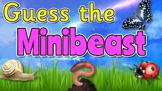 GUESS THE MINIBEAST QUIZ 🐞🕷️🦋 Miss Ellis
