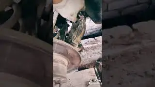 Ваз 2101-07 замена подшипника ступицы