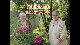 Пасека Бирск июнь 2022