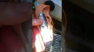 хрустит кик стартер