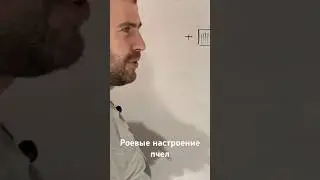 Роение пчел