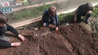 Свои грядки у детей