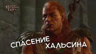 СПАСЕНИЕ ХАЛЬСИНА - Baldur's Gate 3 #13