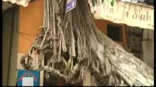 ẤN TƯỢNG THĂNG LONG - HÀ NỘI