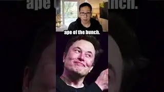 Elon Musk Bought A Bored Ape?! 