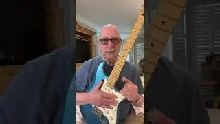 Don't Touch My Strat!