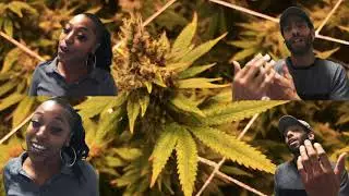 Trouble YS x Cookie Rishay - Feel the Vibe