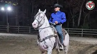 Rancho Las 5 Estrellas - Jinetes luciéndose con sus caballos (10/26/2024)