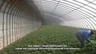 камышовые плиты маты машина-Камышовые маты строительное видео